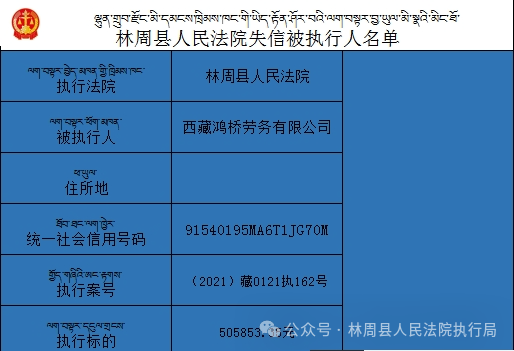 2024澳门精准正版资料大全,专业分析解释定义_LT31.342